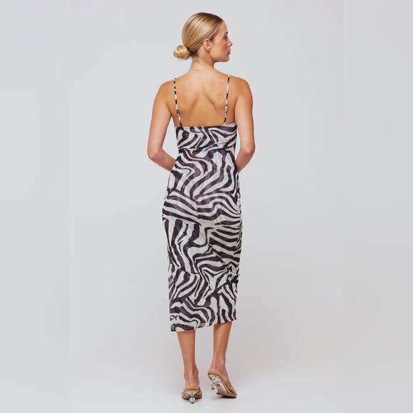 NWT. RESA KIELE MESH DRESS IN TIGRIS - Picture 2 of 3